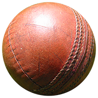 Cricket Loam